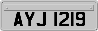 AYJ1219