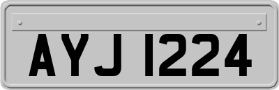 AYJ1224