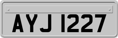 AYJ1227