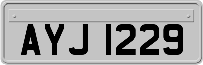 AYJ1229