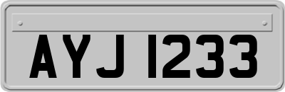 AYJ1233