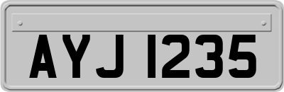 AYJ1235