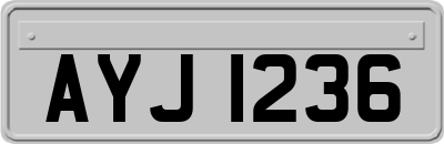 AYJ1236