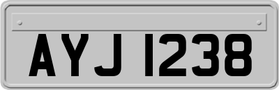 AYJ1238