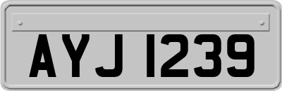 AYJ1239