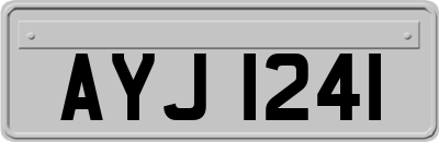 AYJ1241