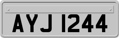 AYJ1244