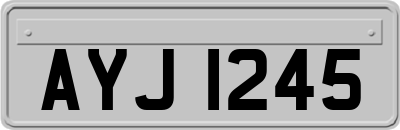 AYJ1245