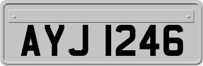 AYJ1246