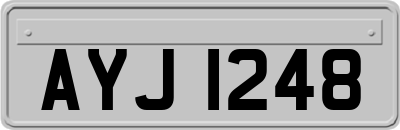 AYJ1248