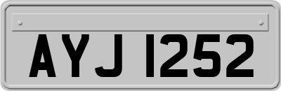 AYJ1252