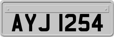 AYJ1254