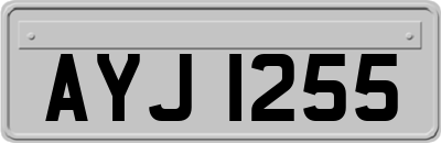 AYJ1255