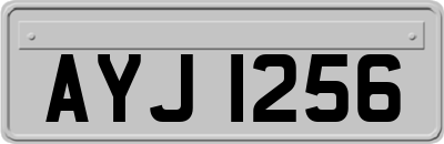 AYJ1256