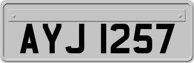 AYJ1257