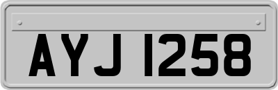AYJ1258