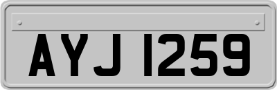 AYJ1259