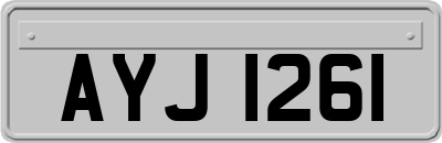 AYJ1261