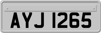 AYJ1265