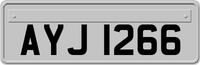 AYJ1266