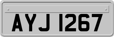 AYJ1267