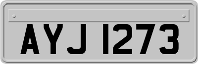 AYJ1273