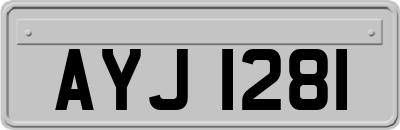AYJ1281