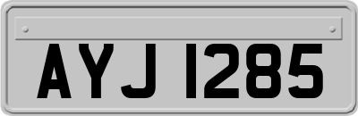 AYJ1285