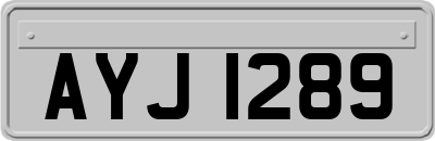 AYJ1289