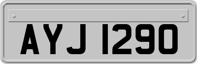 AYJ1290