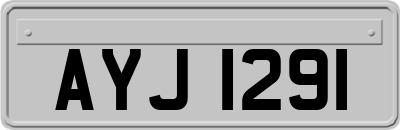 AYJ1291
