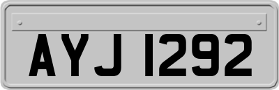AYJ1292