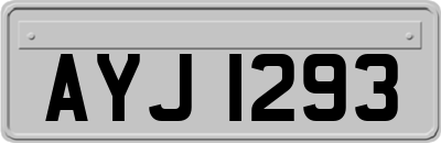 AYJ1293
