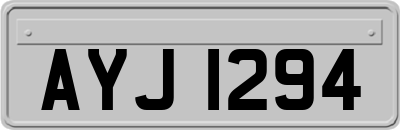 AYJ1294