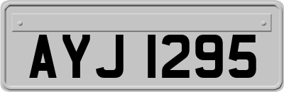 AYJ1295