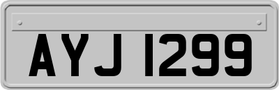 AYJ1299