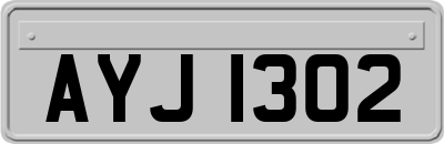 AYJ1302