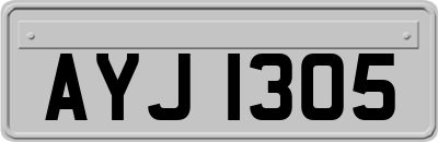 AYJ1305