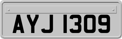 AYJ1309