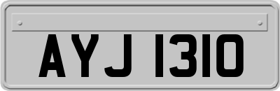 AYJ1310