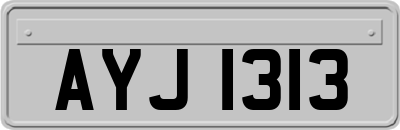 AYJ1313