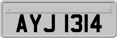 AYJ1314