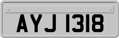 AYJ1318