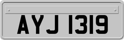 AYJ1319