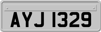 AYJ1329
