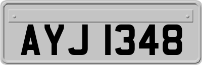 AYJ1348