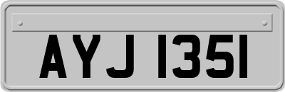 AYJ1351