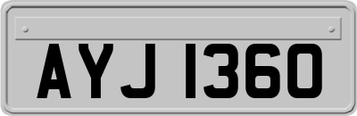 AYJ1360
