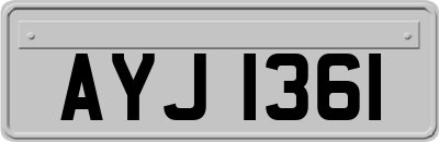 AYJ1361