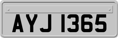 AYJ1365